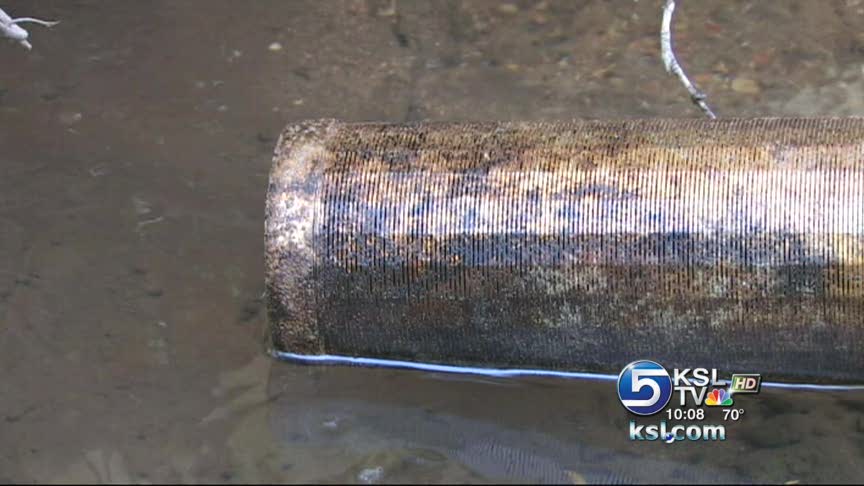 DWR plans to pipe water to deer this winter