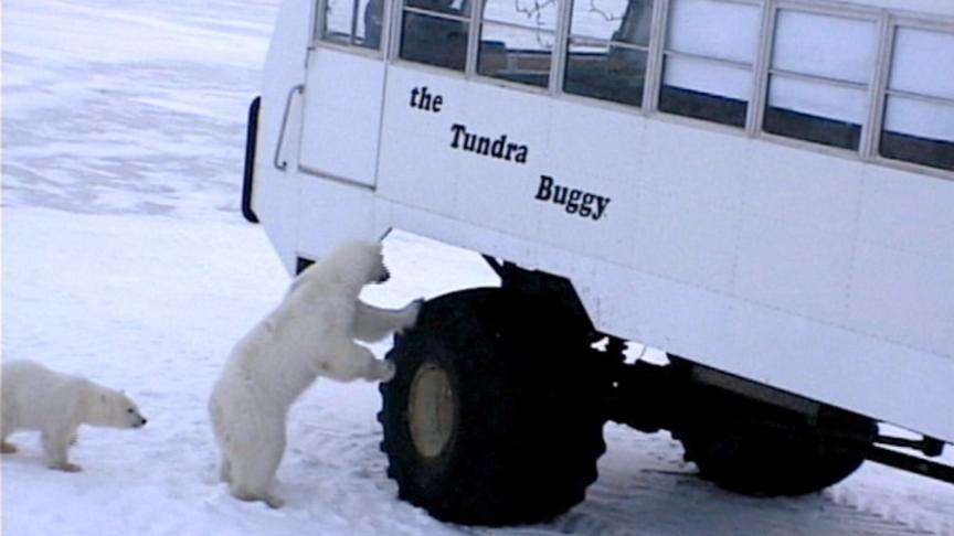 Utah teen shares arctic experience with students back home