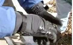 Gore-Tex gloves