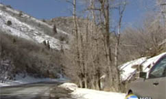 Expert Offers Winter Safety Survival Tips