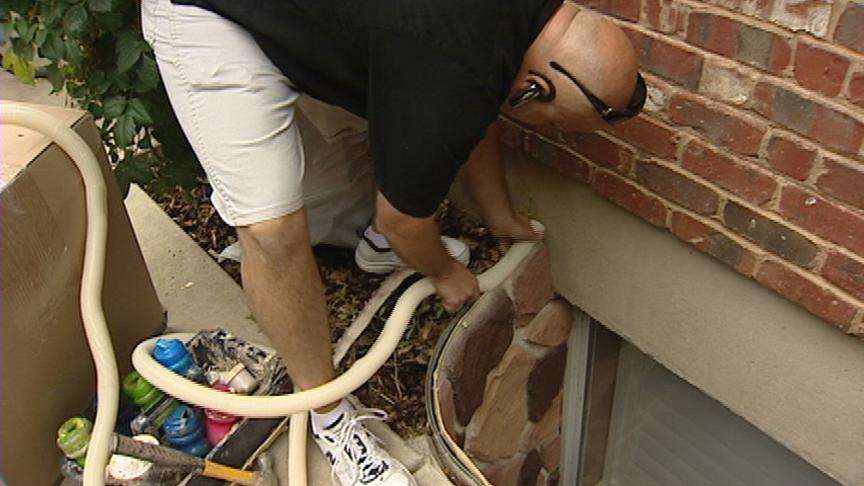 Staying Safe: Seeking help when financial pressures become overwhelming