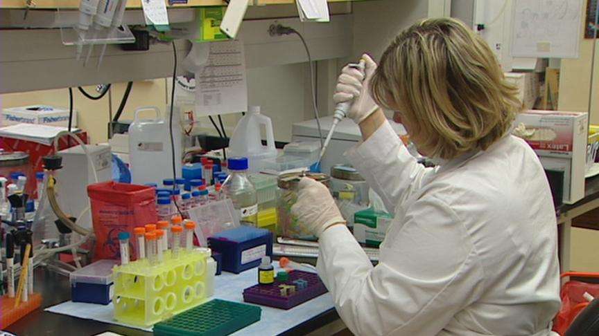 Scorpion Poison May Destroy Cancer Cells