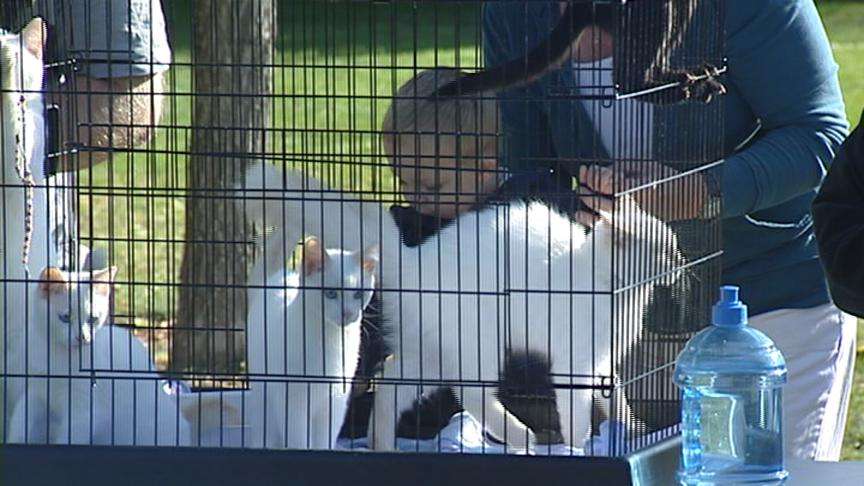 Ground broken on new animal shelter in West Valley