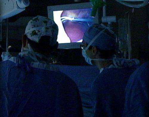 Gastric bypass appears to improve brain function