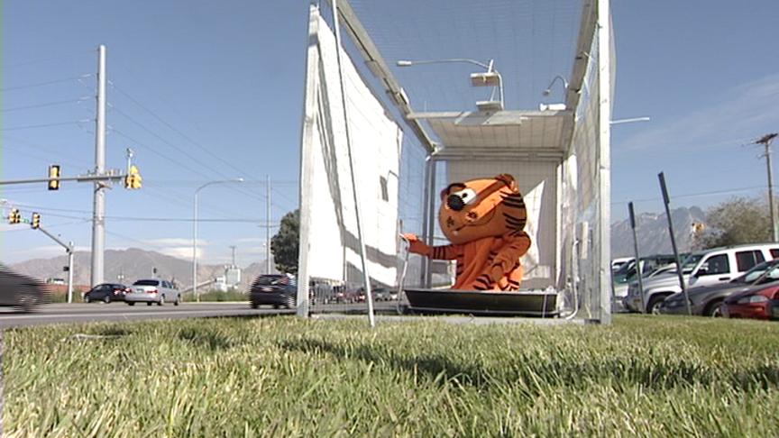 SLCO Animal Services celebrate ‘Feral Cat Day'