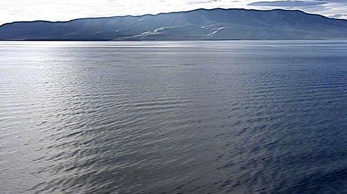 Saratoga Springs looks to combat invasive weeds