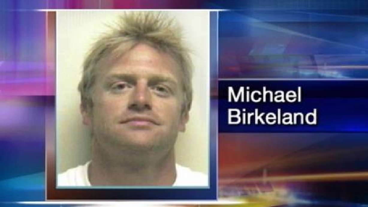 Actor pleads guilty in computer theft