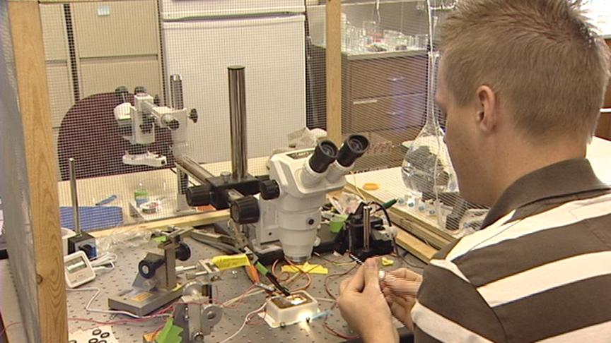 BYU researchers help pinpoint ‘memory motor'