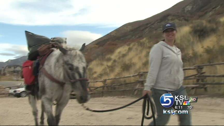 Operation aims to help hillside burned by fire