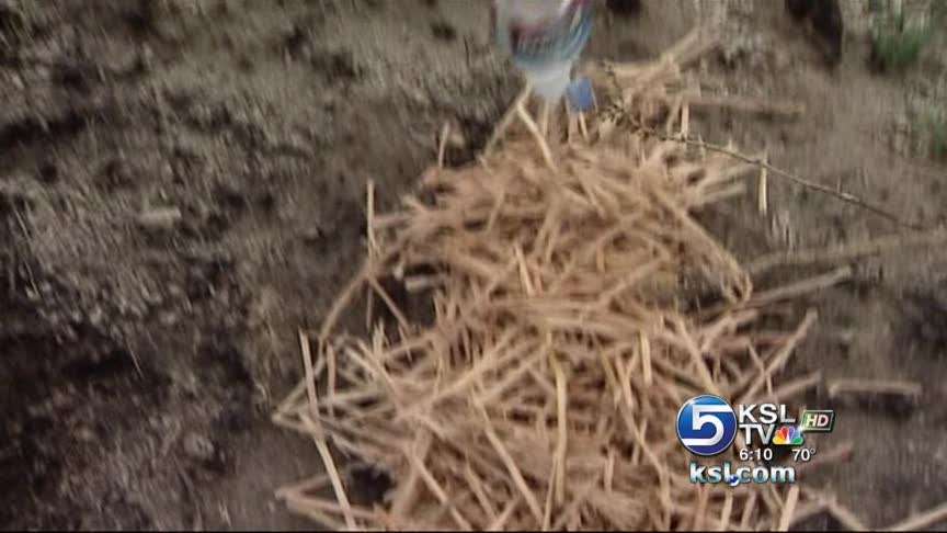 Operation aims to help hillside burned by fire