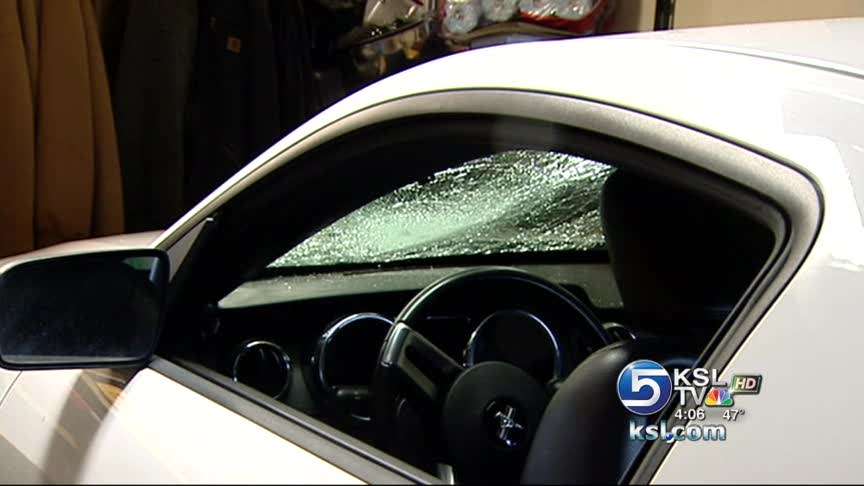 16 cars vandalized overnight