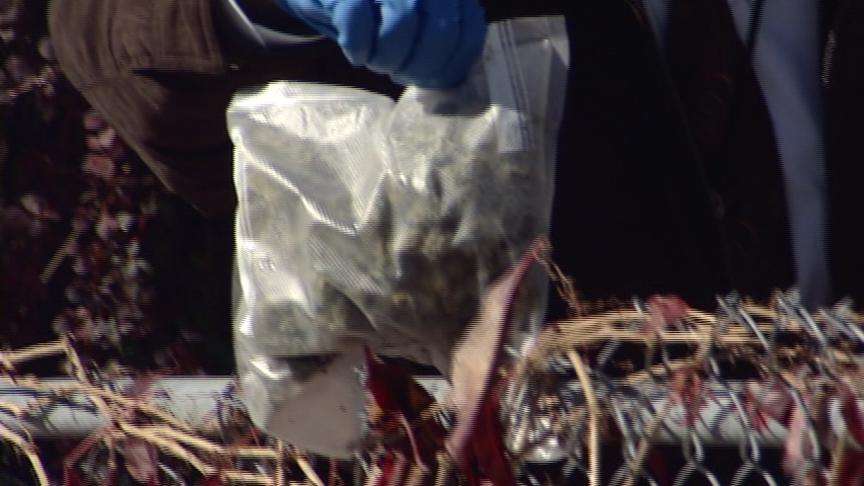 Deputies searching for 3 suspects in morning shooting