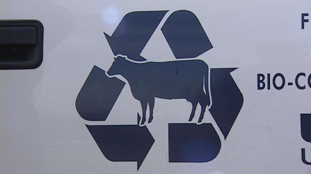 Dairy Farmers Developing Alternative Fuel