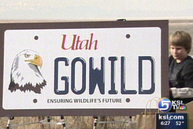 New License Plate Unveiled