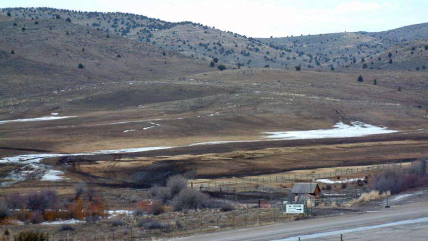 Elk Move to Higher Elevation
