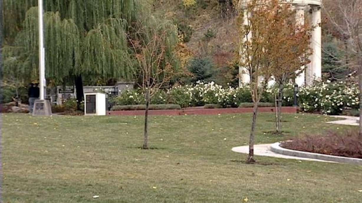 Pest poison likely the cause behind dogs' deaths