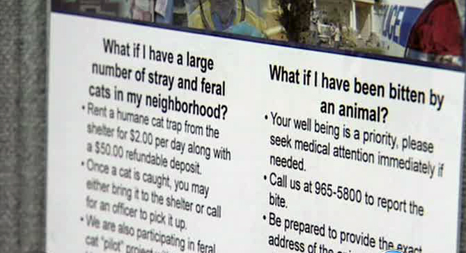 Animal advocates protest plans for animal shelter
