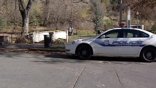 Suspicious powder in park turns out to be flour