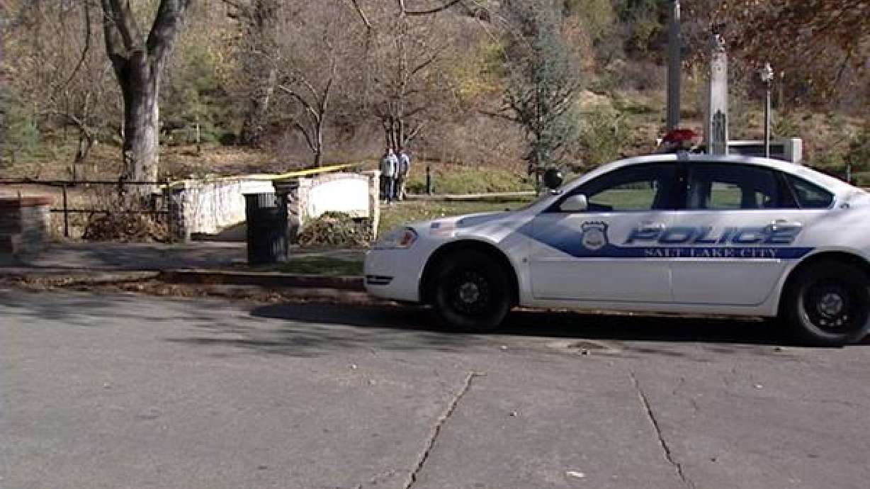 Suspicious powder in park turns out to be flour