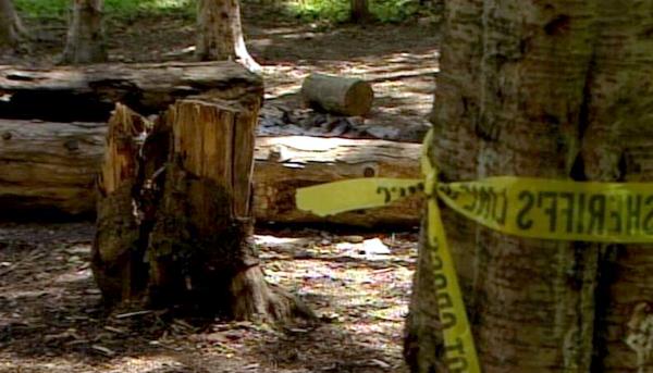 State court judge dismisses bear attack lawsuit