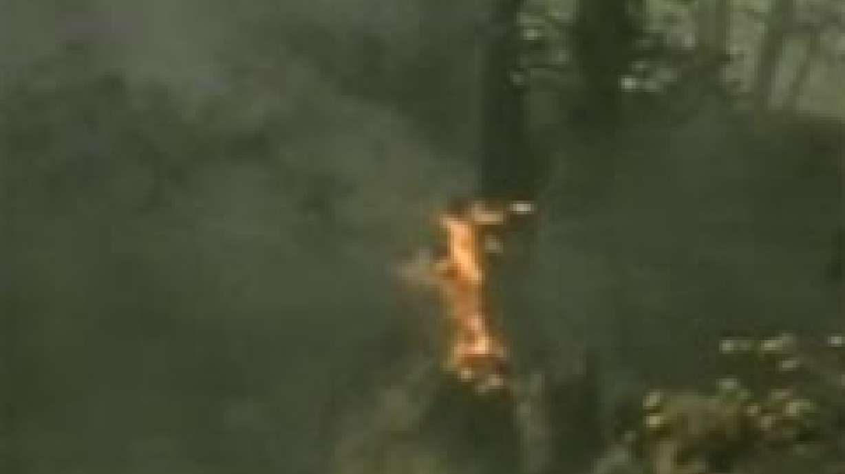Brush Fire Forces Evacuation of Campers