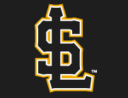 Walk-off homer in 12th gives Bees victory