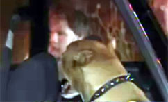 Police Sorting Out Details of Violent Confrontation