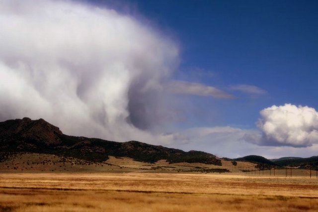 Hail Stones