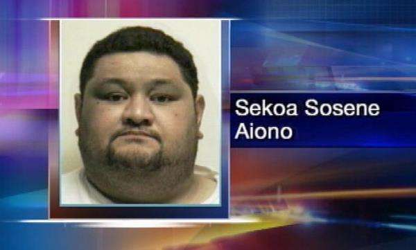 Aunt pleads guilty to abusing children in her care