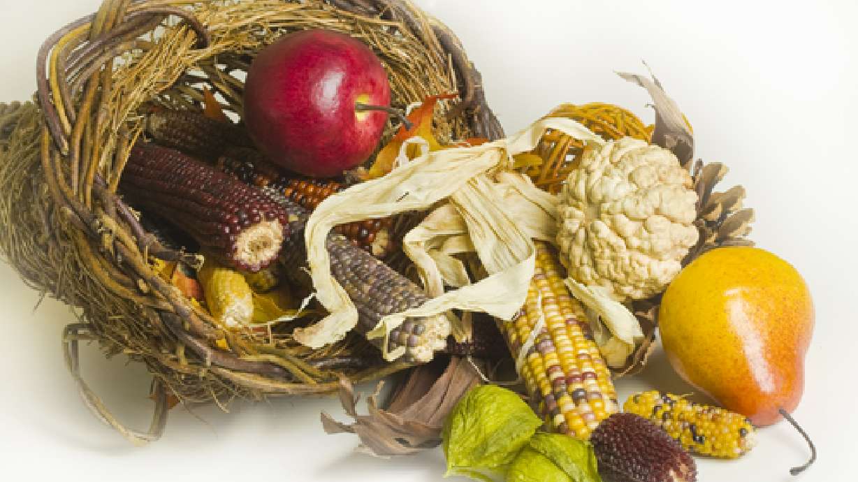 Preparing Thanksgiving dinner vegetarian style