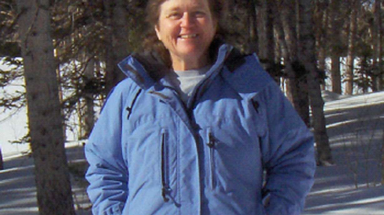 Search efforts underway for missing hiker