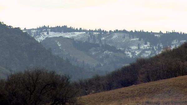 Couple credits pet dog for saving them