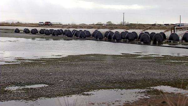 U invention could have big impact on world sewage