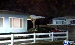 Roommates Argument Over a Pastry Ends in Stabbing