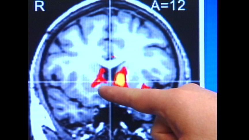 The Science Behind Your Shopping Decisions