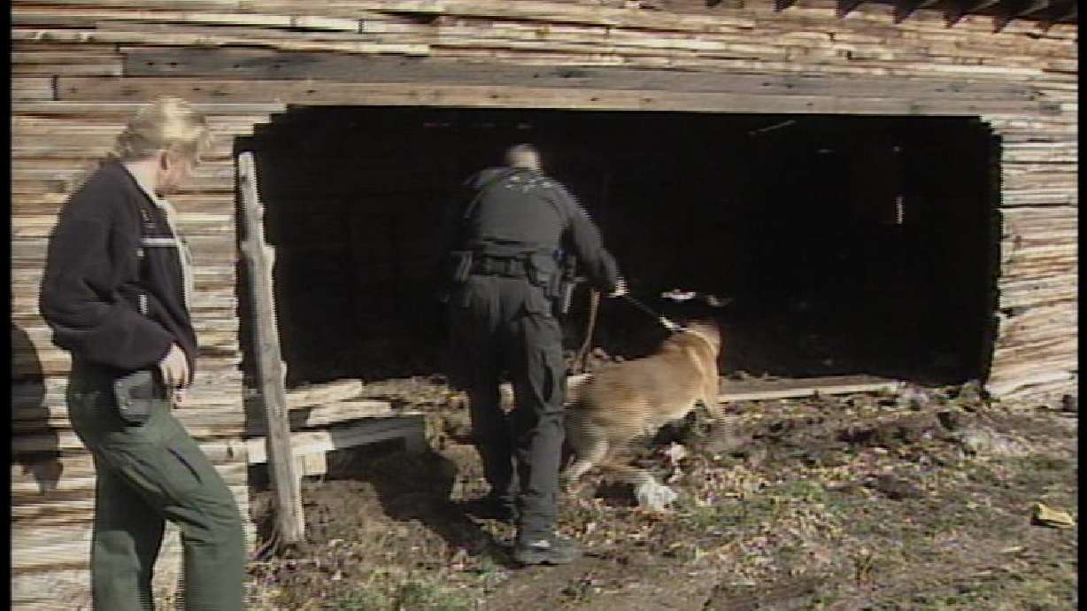 Man Jumps in Truck to Catch Thieves, One Suspect Arrested