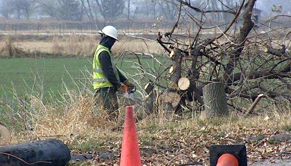 Power company criticized for cutting down trees