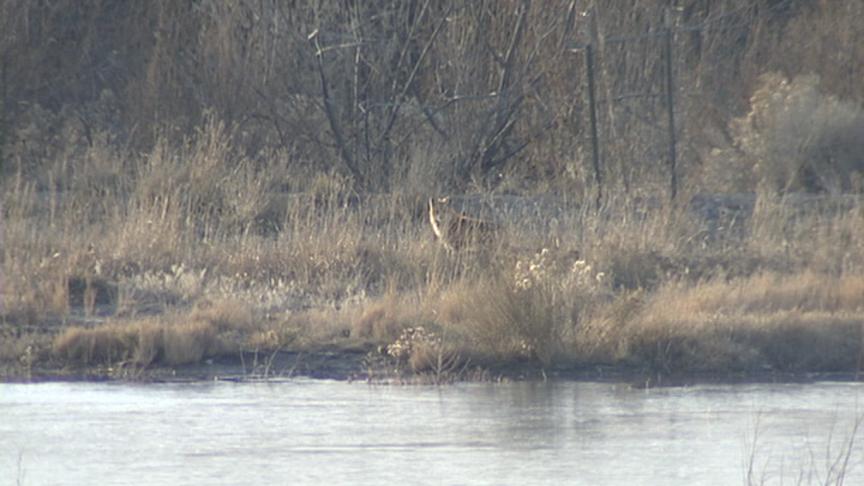 FrontRunner plan at odds with Jordan River protection efforts