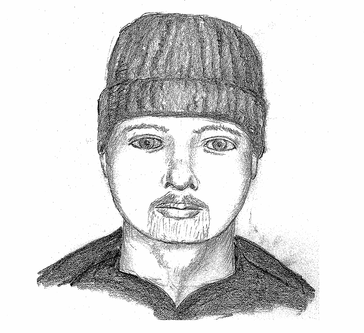 Police suspect bearded man is several bank robberies