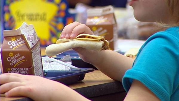 Changes in store for school lunches