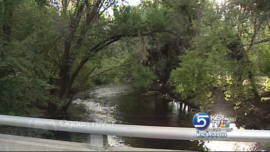 River restoration project on hold