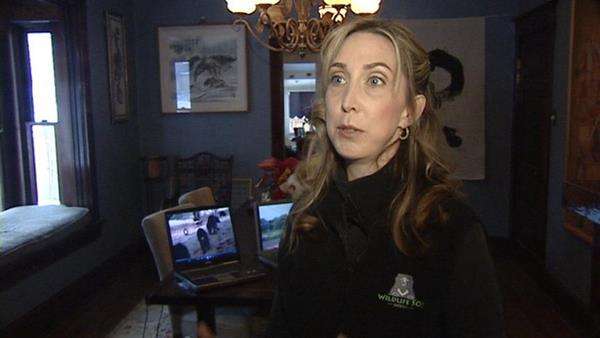 Utah group working to save dancing bears