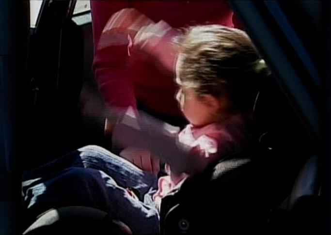 Safety Belt Cover Ensures Car Seat Will Stay Put