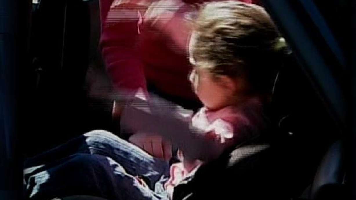 Safety Belt Cover Ensures Car Seat Will Stay Put