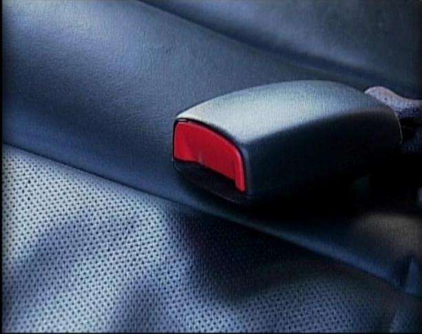 Safety Belt Cover Ensures Car Seat Will Stay Put