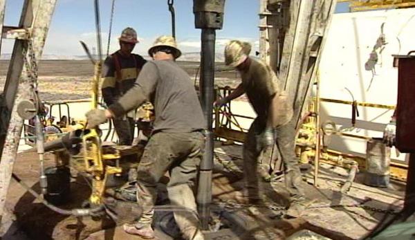 Bidder said it was easy to rig government auction