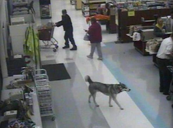 Woman claims shoplifting dog belongs to her