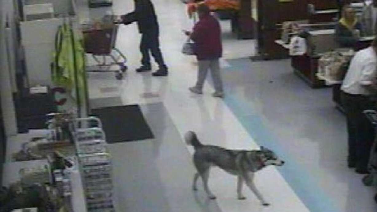Woman claims shoplifting dog belongs to her