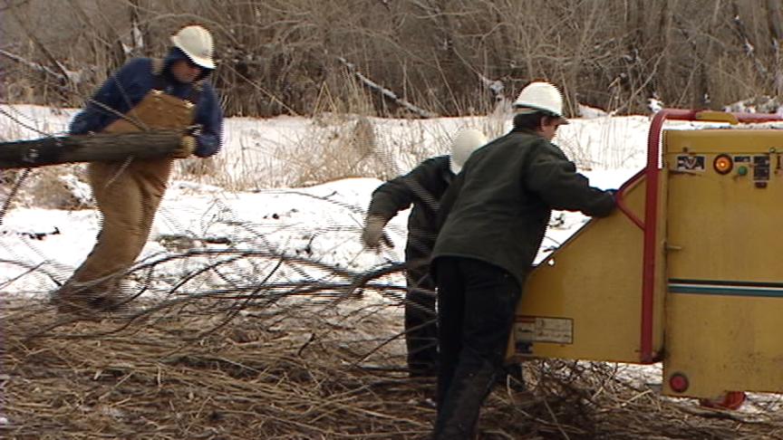 Citizens want to stop removal of trees