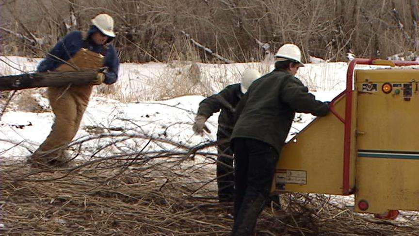 Citizens want to stop removal of trees